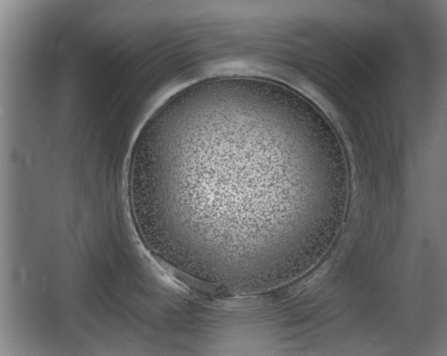 X0000068301392200604241325