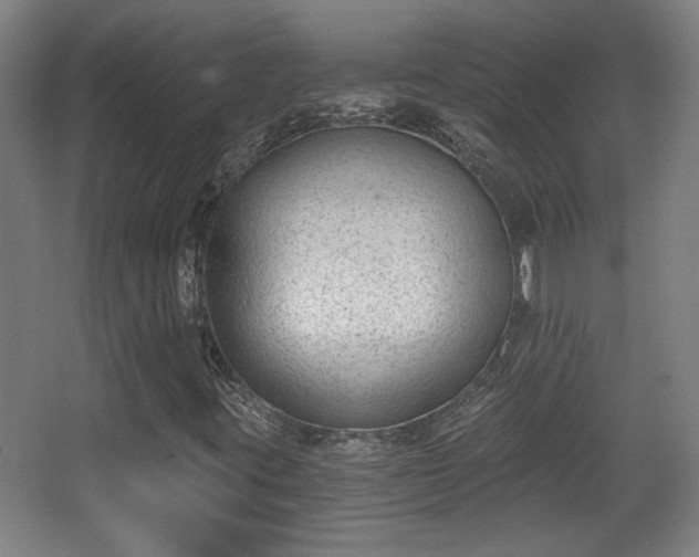 X0000068301395200604241325