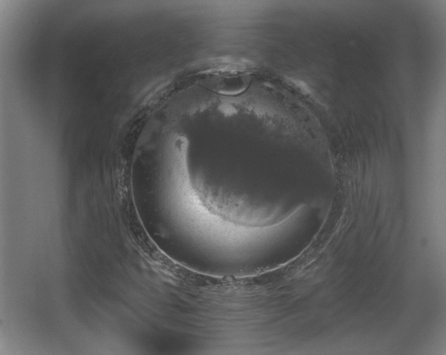 X0000068301399200604241325