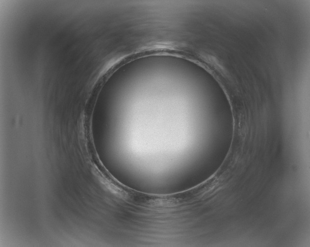 X0000068301404200604241325