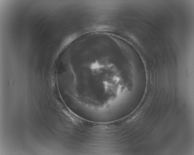 X0000068301405200604241325