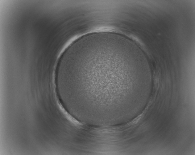 X0000068301422200604241325