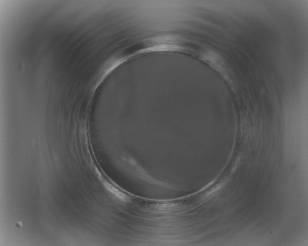 X0000068301425200604241325
