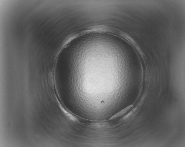 X0000068301433200604241325