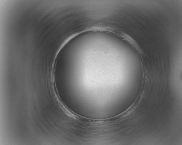 X0000068301436200604241325