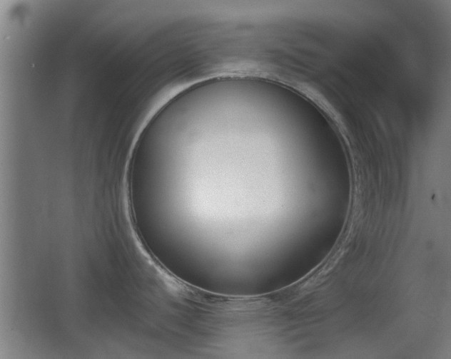 X0000068301440200604241325