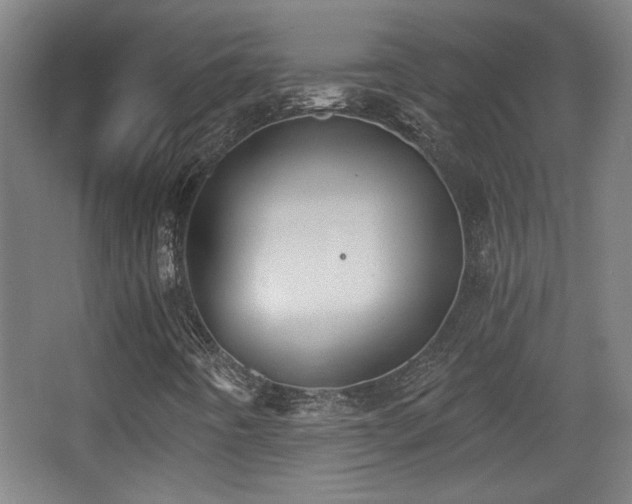 X0000068301442200604241325