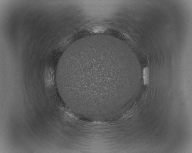 X0000068301443200604241325