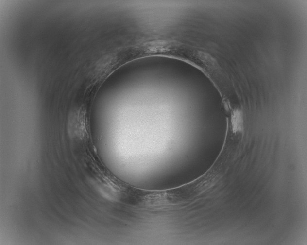 X0000068301444200604241324