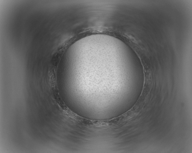 X0000068301446200604241324
