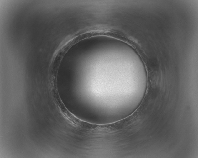X0000068301448200604241324