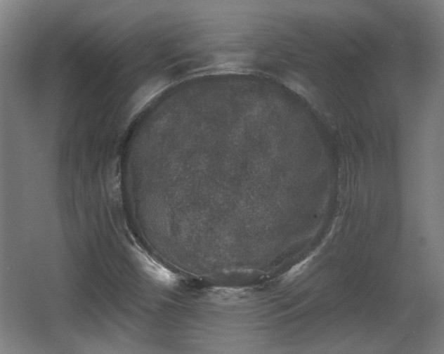 X0000068301450200604241324