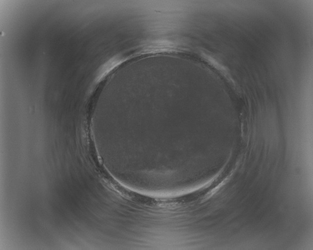 X0000068301453200604241324