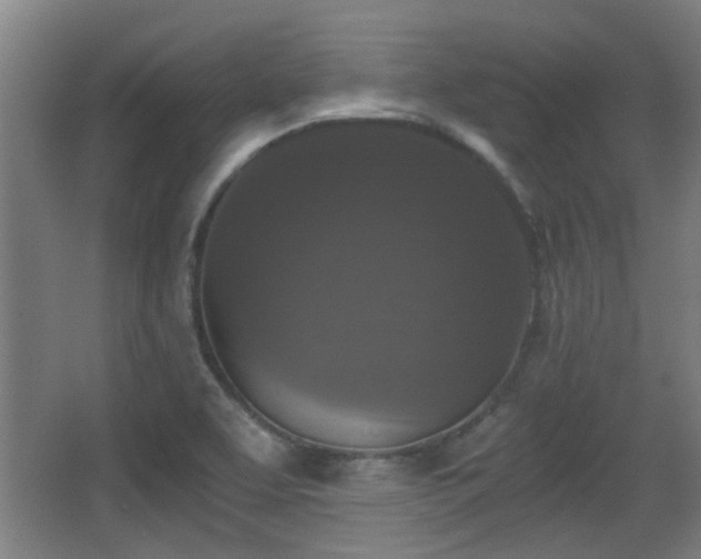 X0000068301463200604241324