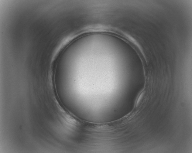 X0000068301464200604241324