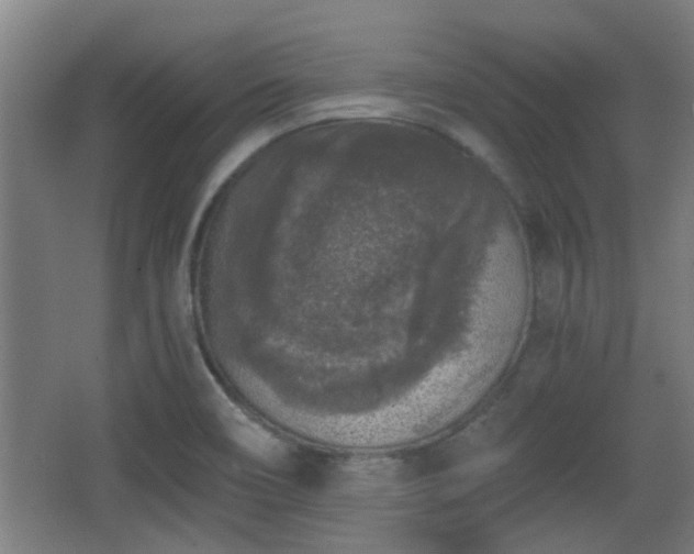 X0000068301466200604241324