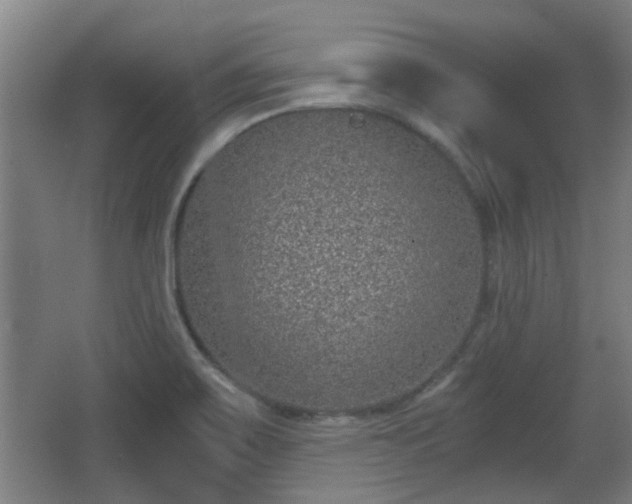 X0000068301467200604241324