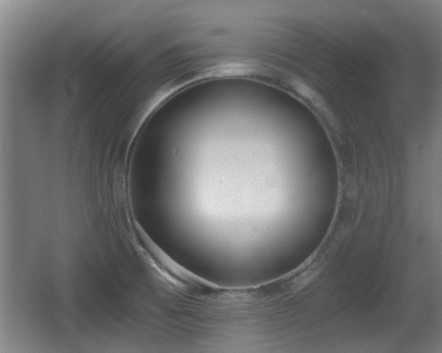 X0000068301473200604241324