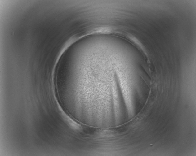 X0000068301475200604241324