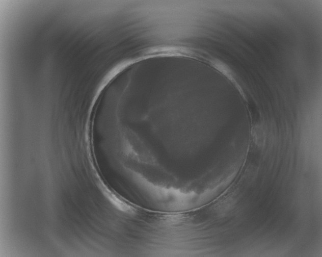 X0000068301482200604241324