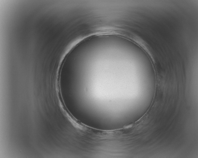 X0000068301485200604241324