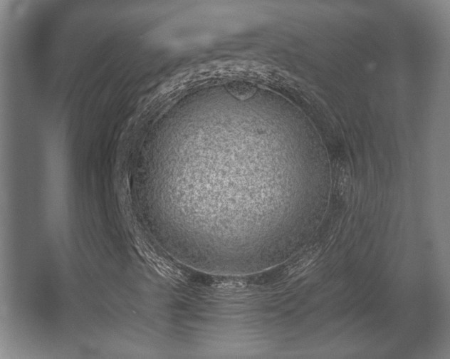 X0000068301489200604241323