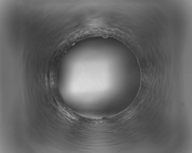 X0000068301490200604241323