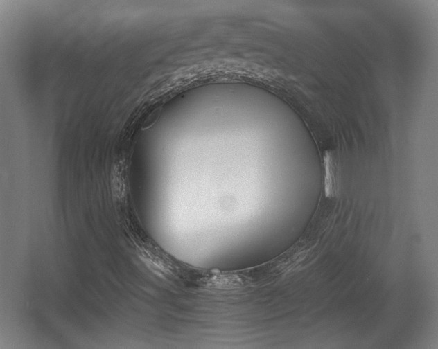 X0000068301491200604241323