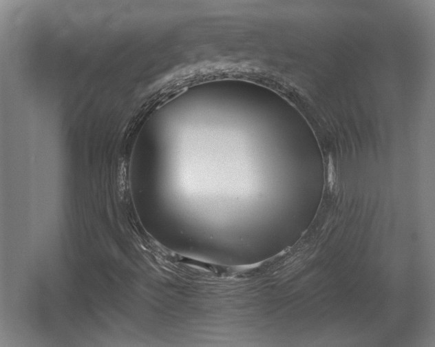 X0000068301492200604241323