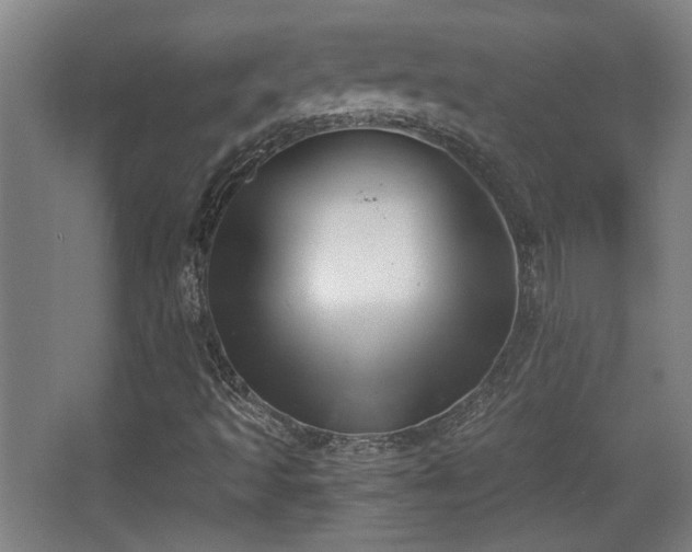 X0000068301493200604241323