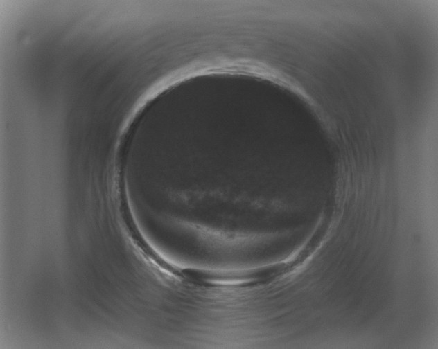 X0000068301506200604241323