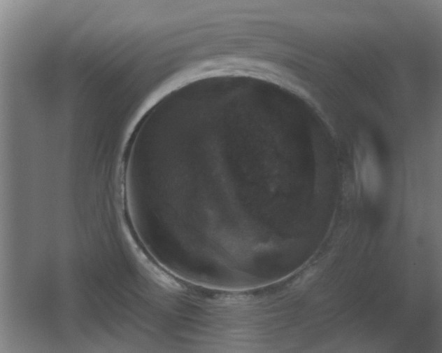 X0000068301522200604241323