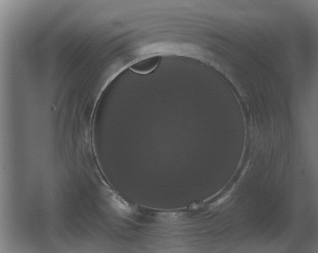 X0000068301529200604241324