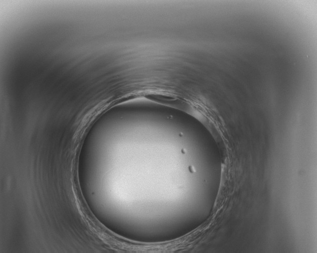 X0000068300001200604281721