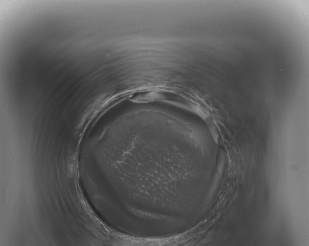 X0000068300002200604281721