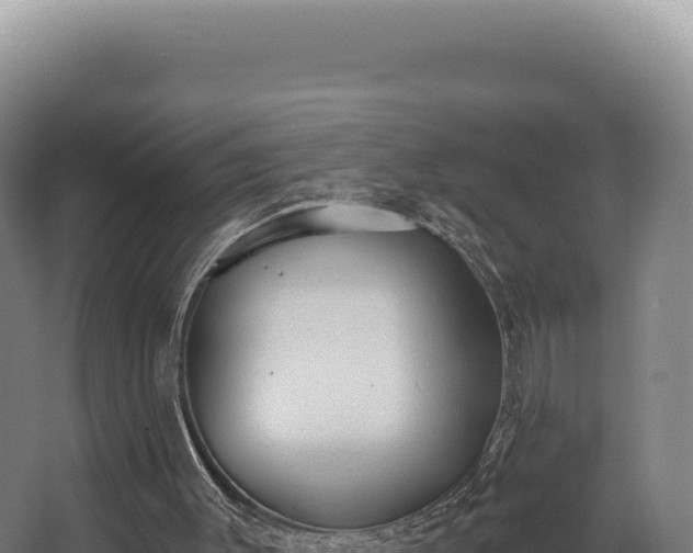 X0000068300003200604281721