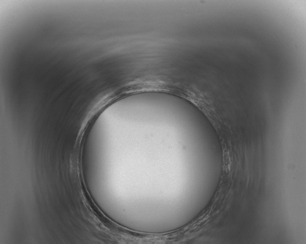 X0000068300004200604281721