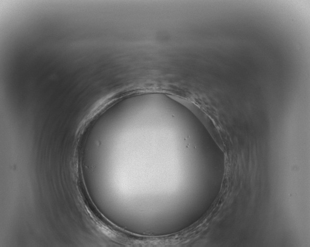 X0000068300005200604281721