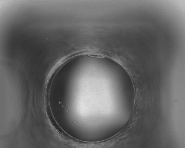 X0000068300007200604281721