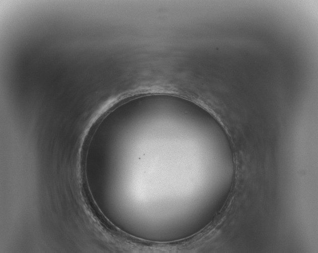 X0000068300008200604281721