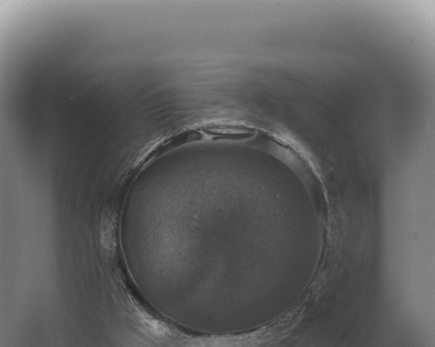 X0000068300009200604281721