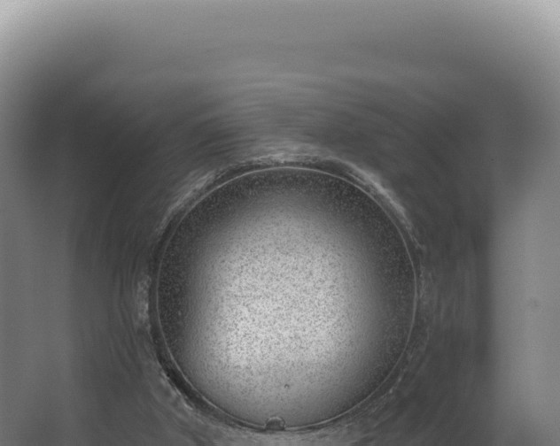 X0000068300010200604281721