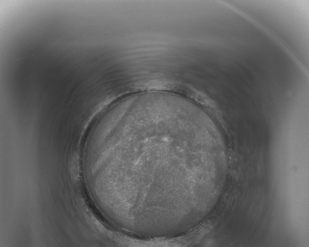 X0000068300012200604281721