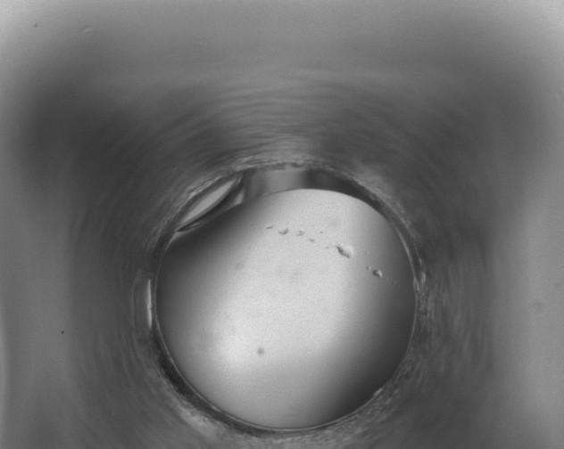 X0000068300013200604281721