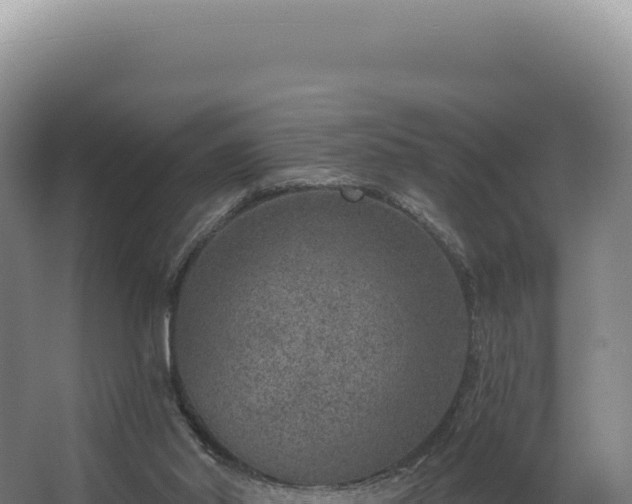 X0000068300014200604281721