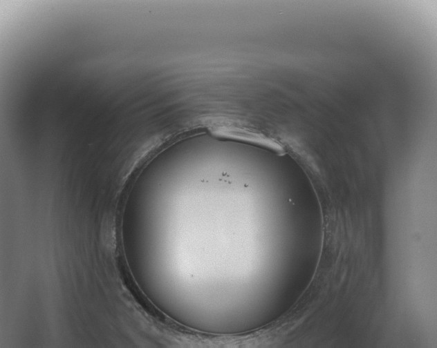 X0000068300015200604281721