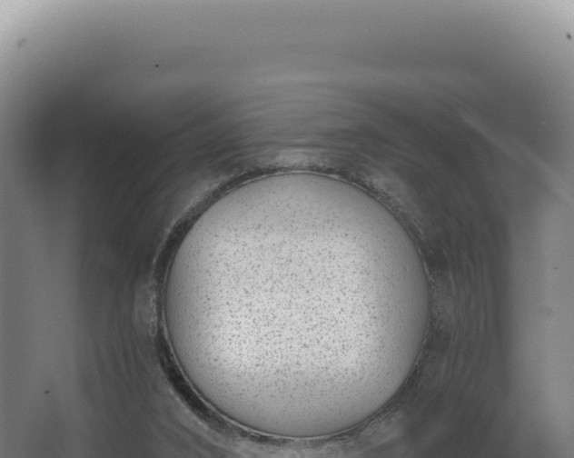 X0000068300016200604281721