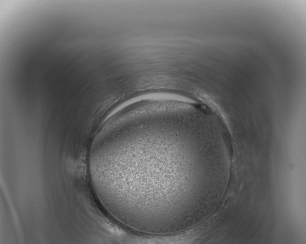 X0000068300017200604281721