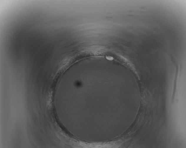 X0000068300018200604281721