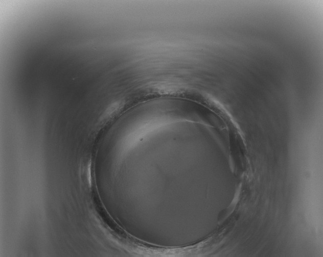 X0000068300019200604281721